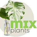 mixplants